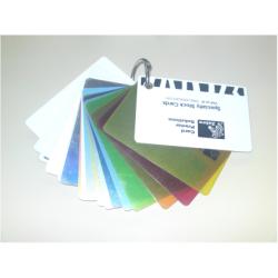 Set penna stilografica Callissima - 3 punte intercambiabili incluse - fusto verde menta - Schneider