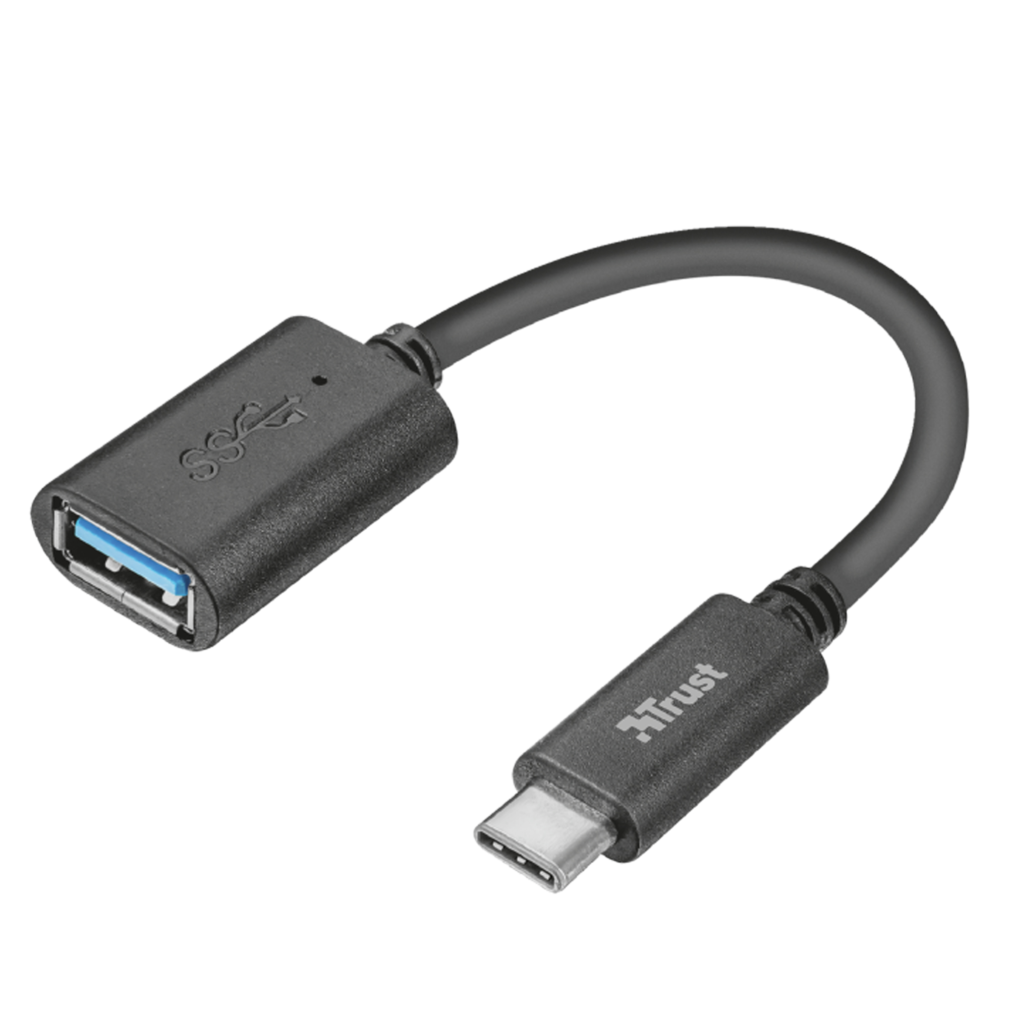 C2G Computer Power Cord Extension - Prolunga alimentazione - IEC 60320 C13 a IEC 60320 C14 - 250 V c.a. V - 5 m