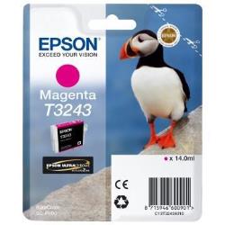 Epson - Cartuccia ink - Magenta - T3243 - C13T32434010 - 14ml