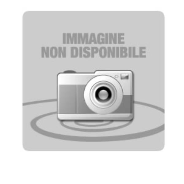 Olivetti - Developer - Nero - B1199 - 600.000 pag