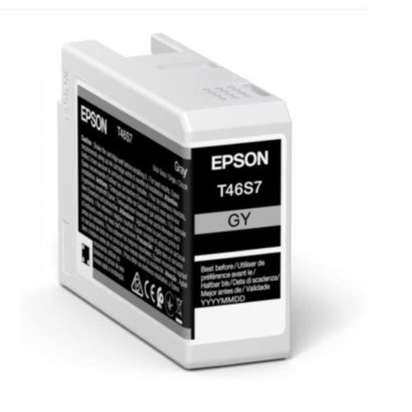 Epson - Cartuccia UltraChrome Pro 10 - Grigio - C13T46S700 - 25 ml