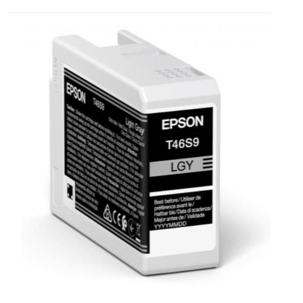 Epson - Cartuccia UltraChrome Pro 10 - Grigio - C13T46S900 - 25 ml