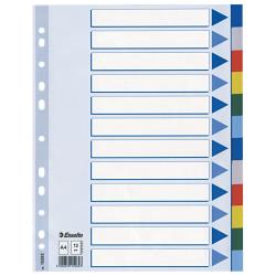 Esselte - Divisorio - 12 parti - per A4 - con schede - multicolore