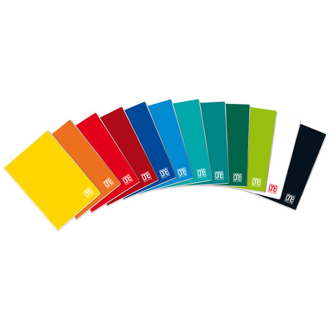 Blasetti One Color - Taccuino - A4 - 30 fogli / 60 pagine - quadretti - disponibile in colori assortiti