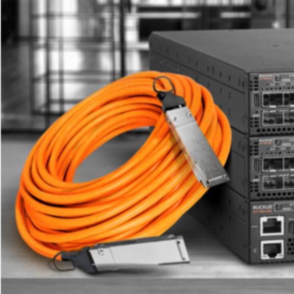 Ruckus - Cavo USB - 24 pin USB-C (M) a USB (M) - USB 2.0 - 1 m - per ICX 8200-48PF