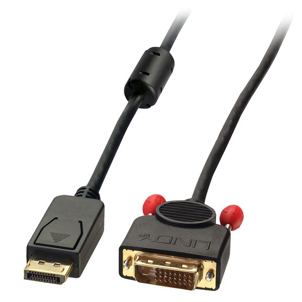 Lindy - Cavo dello schermo - DisplayPort (M) a DVI-D (M) - 50 cm - viti a serraggio manuale - nero