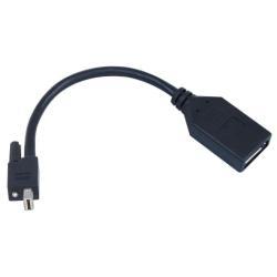 Matrox TripleHead2go upgrade - Adattatore DisplayPort - Mini DisplayPort (M) a DisplayPort (F) - per Matrox M9138, M9148, M9188; Graphics eXpansion Module DualHead2Go, TripleHead2Go