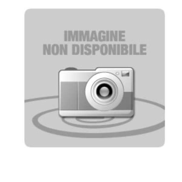 Epson - Semi-lucida - Rotolo (40,6 cm x 30,5 m) 1 rotoli carta fotografica - per SureColor P5000, SC-P5000, P7500, P9500, T2100, T3100, T3400, T3405, T5100, T5400, T5405