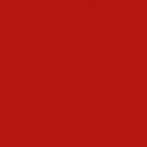 Favini Bristol Color 200 Sigillo T1 79 - Cartoncino - 700 x 1000 mm - 10 fogli - rosso fuoco - 200 g/m² - cartone