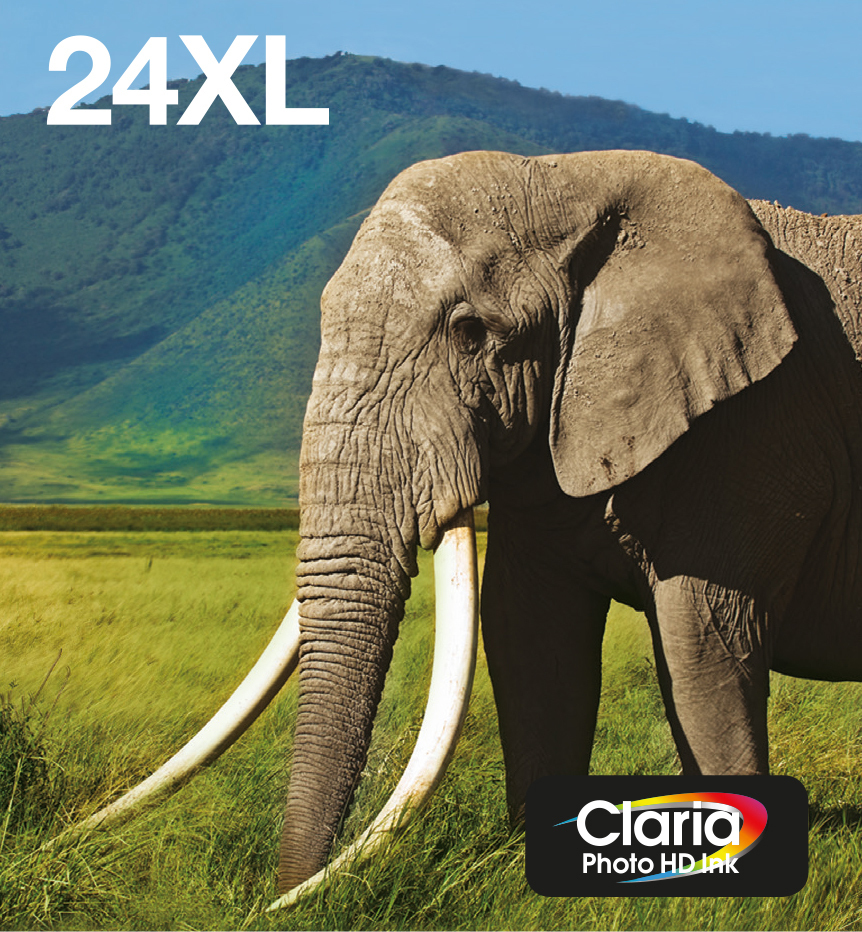 Epson 24XL Multipack Easy Mail Packaging - Confezione da 6 - 55.7 ml - XL - nero, giallo, ciano, magenta, magenta chiaro, cyan chiaro - originale - scatola - cartuccia d'inchiostro - per Expression Photo XP-55, XP-750, XP-760, XP-850, XP-860, XP-950, XP-960, XP-970