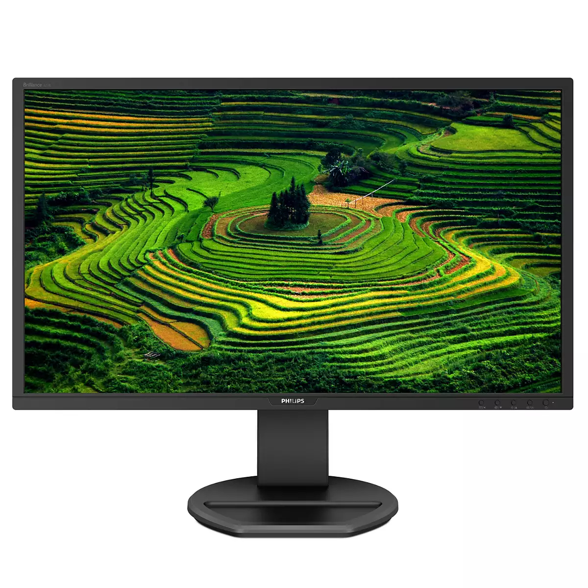 Philips B Line 221B8LHEB - Monitor a LED - 22" (21.5" visualizzabile) - 1920 x 1080 Full HD (1080p) @ 60 Hz - TN - 250 cd/m² - 1000:1 - 1 ms - HDMI, VGA - altoparlanti - nero testurizzato