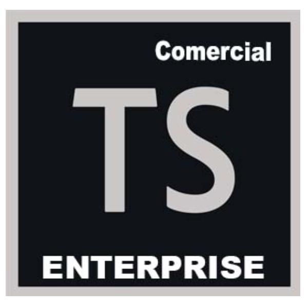 Adobe Technical Communication Suite for enterprise - Nuovo abbonamento (annuale) - 1 utente - Value Incentive Plan - Livello 1 (1-9) - Win - Multi European Languages