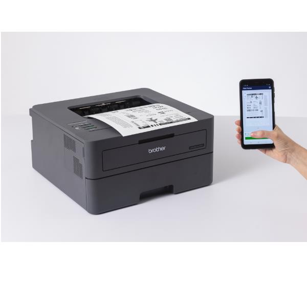 Brother HL-L2400DWE - Stampante - B/N - Duplex - laser - A4/Legal - 1200 x 1200 dpi - fino a 30 ppm - capacità 250 fogli - USB 2.0, LAN, Wi-Fi(n)