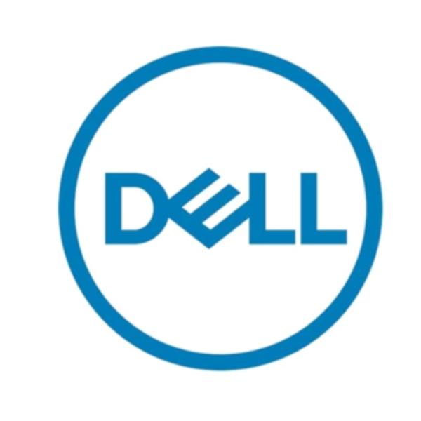 Dell - Custom Kit - SSD - Read Intensive - 1.92 TB - hot swap - 2.5" - SAS 22.5Gb/s - per PowerEdge R440, R450, R550, R640, R6415, R650, R6515, R660, R740, R7515, R7525, T550