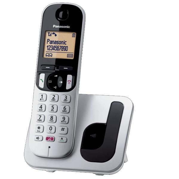 Panasonic KX-TGC250 - Telefono cordless con ID chiamante/chiamata in attesa - DECTGAP - argento
