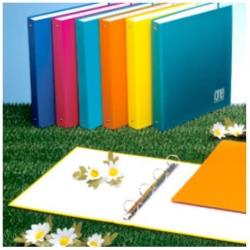 Blasetti One Color - Quaderno ad anelli - per A5 - disponibile in colori assortiti