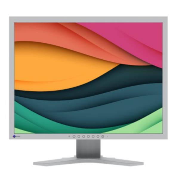 EIZO FlexScan S2134 - Monitor a LED - 21.3" - 1600 x 1200 @ 60 Hz - IPS - 500 cd/m² - 1600:1 - 6 ms - DVI-D, VGA, DisplayPort - grigio chiaro