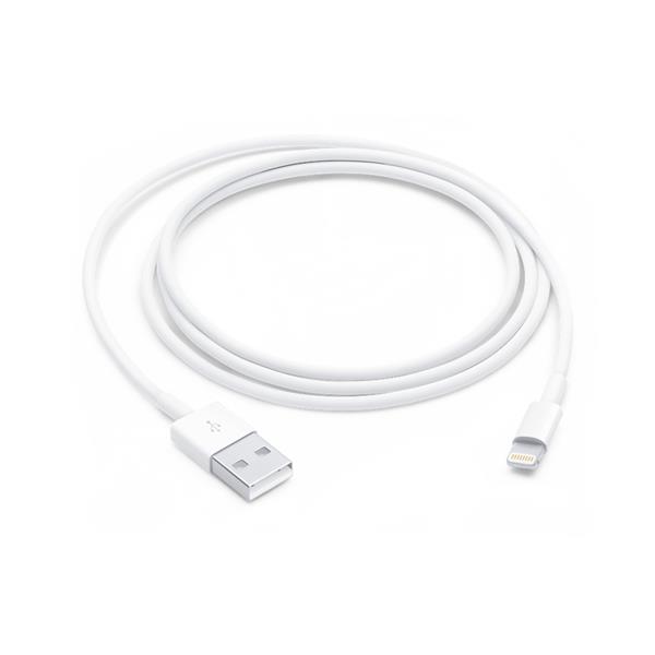 Apple - Cavo Lightning - Lightning maschio a USB maschio - 1 m