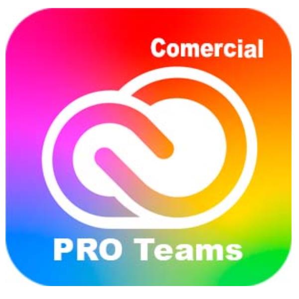 Adobe Creative Cloud All Apps - Pro for teams - Nuovo abbonamento (1 anno) - 1 utente - GOV - Adobe Value Incentive Plan (VIP) Marketplace - Livello 1 (1-9) - Win, Mac - Multi European Languages