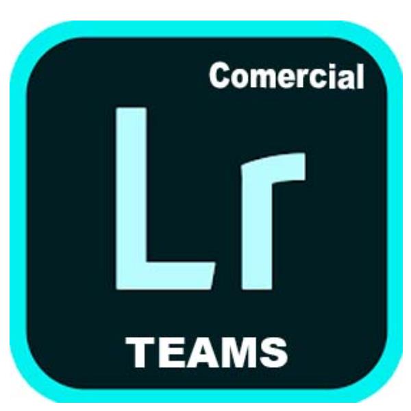 Adobe Lightroom with Classic for teams - Nuovo abbonamento (1 anno) - 1 utente - GOV - Adobe Value Incentive Plan (VIP) Marketplace - Livello 1 (1-9) - Win, Mac - Multi European Languages