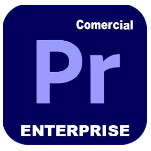 Adobe Premiere Pro for Enterprise - Nuovo abbonamento (1 anno) - 1 utente nominale - accademico - Adobe Value Incentive Plan (VIP) Marketplace - Livello 1 (1-9) - Win, Mac - Multi European Languages