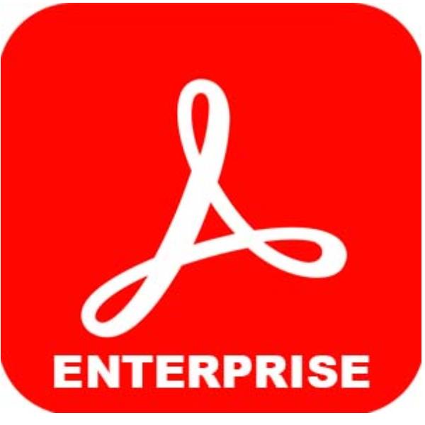 Adobe Acrobat Standard for enterprise - Feature Restricted Licensing Subscription New (1 anno) - 1 utente - GOV - Adobe Value Incentive Plan (VIP) Marketplace - Livello 1 (1-9) - Isolated Feature Restricted License - Win, Mac - Multi European Languages