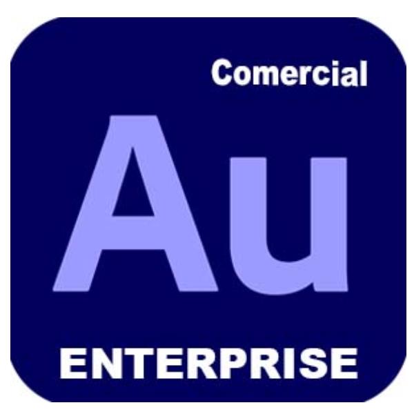 Adobe Audition for enterprise - Nuovo abbonamento (1 anno) - 1 utente nominale - accademico - Adobe Value Incentive Plan (VIP) Marketplace - Livello 1 (1-9) - Win, Mac - Multi European Languages