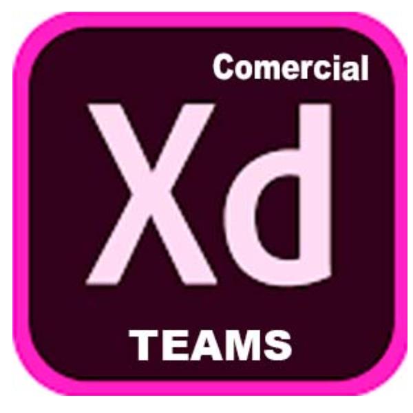 Adobe XD for teams - Nuovo abbonamento (1 anno) - 1 utente - GOV - Adobe Value Incentive Plan (VIP) Marketplace - Livello 1 (1-9) - For existing XD customer add-ons only, No new customers - Win, Mac - Multi European Languages