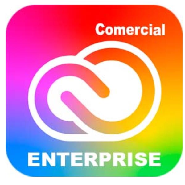 Adobe Creative Cloud for Enterprise - All Apps - Nuovo abbonamento (1 anno) - 1 utente nominale - accademico - Adobe Value Incentive Plan (VIP) Marketplace - Livello 1 (1-9) - K-12 District License (2500+) - Win, Mac - Multi European Languages