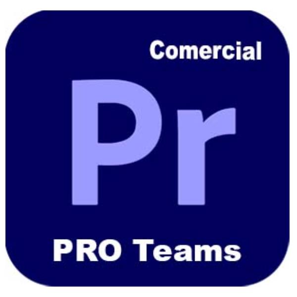 Adobe Premiere Pro - Pro for teams - Nuovo abbonamento (annuale) - 1 utente - GOV - Adobe Value Incentive Plan (VIP) Marketplace - Livello 1 (1-9) - Win, Mac - Multi European Languages