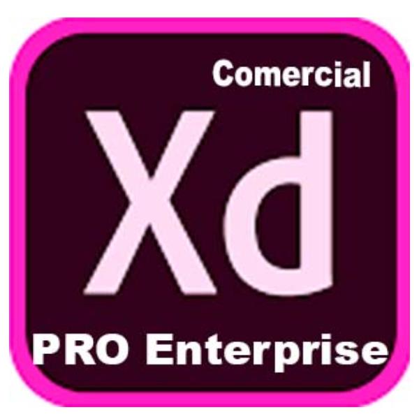 Adobe XD Pro for enterprise - Nuovo abbonamento (1 anno) - 1 utente - GOV - Adobe Value Incentive Plan (VIP) Marketplace - Livello 1 (1-9) - For existing XD customer add-ons only, No new customers - Win, Mac - Multi European Languages