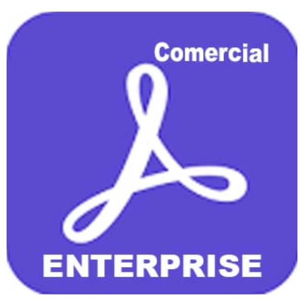 Adobe Acrobat Sign Solutions for business - Licenza a termine (1 anno) - 1 utente - hosted - GOV - Adobe Value Incentive Plan (VIP) Marketplace - Livello 1 (1-9) - for Amazon Web Services - Multi European Languages
