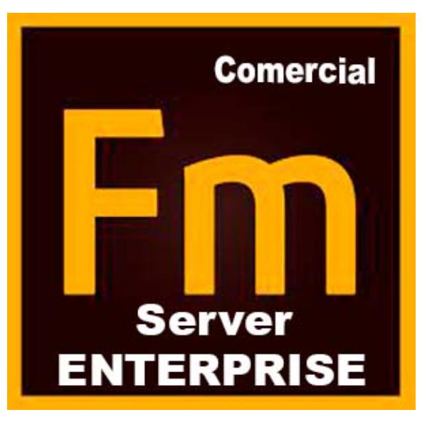 Adobe FrameMaker Publishing Server for enterprise - Nuovo abbonamento (1 anno) - 1 utente - GOV - Adobe Value Incentive Plan (VIP) Marketplace - Livello 1 (1-9) - Win - Multi European Languages