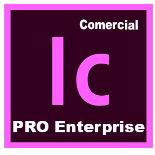 Adobe InCopy Edition 4 for enterprise - Nuovo abbonamento (1 anno) - 1 utente - GOV - Adobe Value Incentive Plan (VIP) Marketplace - Livello 1 (1-9) - Win, Mac - Multi European Languages