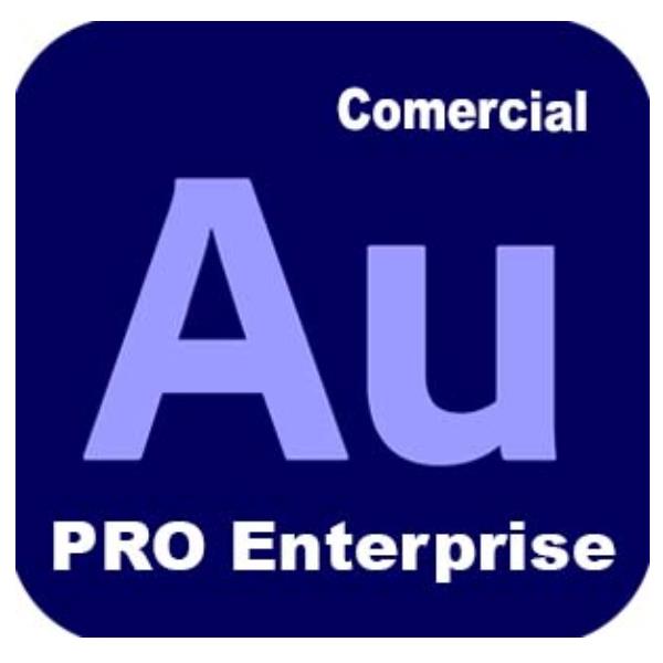 Adobe Audition Edition 4 for enterprise - Nuovo abbonamento (1 anno) - 1 utente - GOV - Adobe Value Incentive Plan (VIP) Marketplace - Livello 1 (1-9) - Win, Mac - Multi European Languages