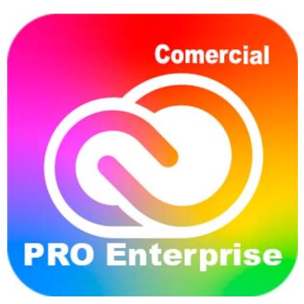 Adobe Creative Cloud All Apps - Edition 4 for enterprise - Nuovo abbonamento (1 anno) - 1 utente - GOV - Adobe Value Incentive Plan (VIP) Marketplace - Livello 1 (1-9) - Win, Mac - Multi European Languages
