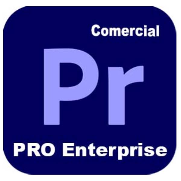 Adobe Premiere Pro - Edition 4 for enterprise - Nuovo abbonamento (1 anno) - 1 utente - GOV - Adobe Value Incentive Plan (VIP) Marketplace - Livello 1 (1-9) - Win, Mac - Multi European Languages