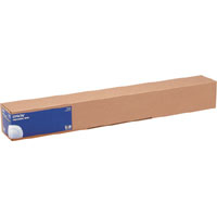 Epson - Lucido - Rotolo (60 cm x 30,5 m) - 250 g/m² - 1 rotoli carta fotografica - per SureColor SC-P10000, P20000, P6000, P7000, P7500, P8000, P9000, P9500, T3200, T5200, T7200