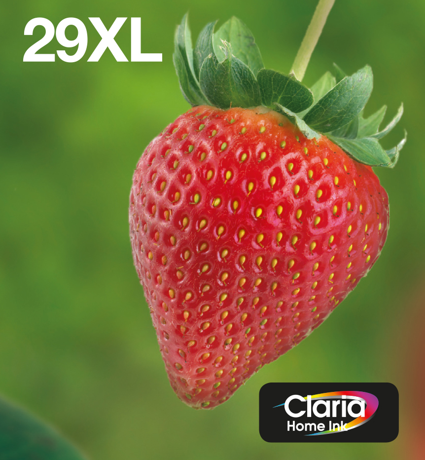 Epson Multipack 29XL EasyMail - Confezione da 4 - XL - nero, giallo, ciano, magenta - originale - inviabile via posta - cartuccia d'inchiostro - per Expression Home XP-245, 247, 255, 257, 332, 342, 345, 352, 355, 435, 442, 445, 452, 455