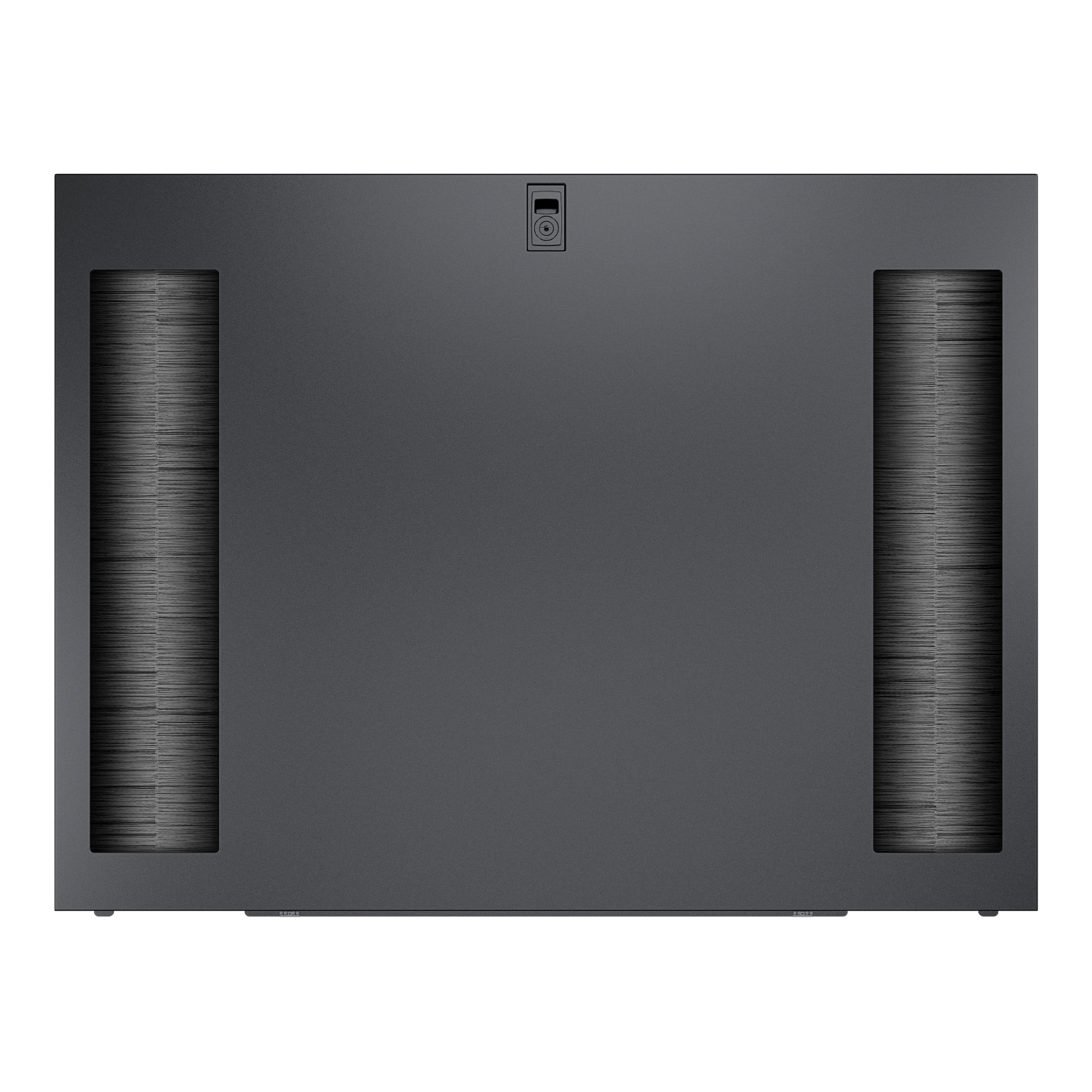 APC - Pannello cremagliera - lato - nero (pacchetto di 2) - per P/N: AR9307SP, AR9307SP-R, NBPD0160A, NBWL0355A, NBWL0356A, SRT1000RMXLI, SRT1000RMXLI-NC