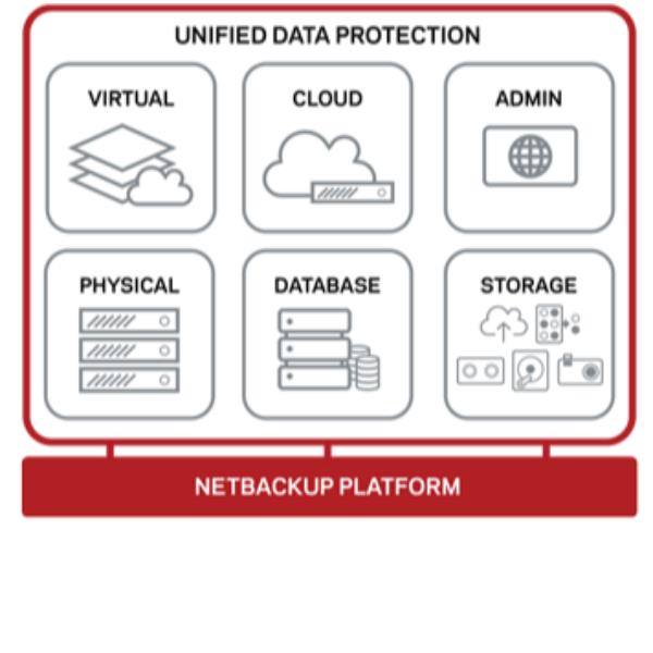VERITAS NetBackup Server - Licenza On-Premise - 1 server - aziendale - Tier 1 - CLP - UNIX