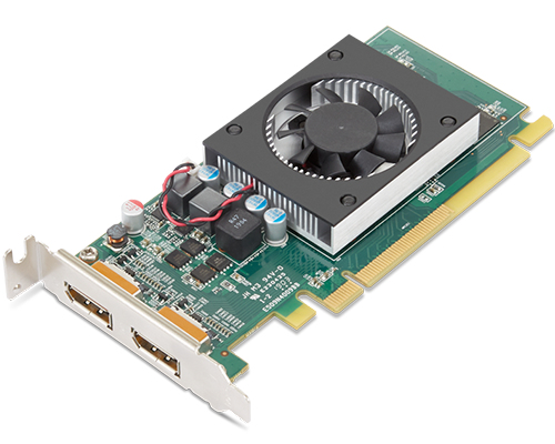AMD Radeon 520 - Scheda grafica - Radeon 520 - 2 GB GDDR5 - 2 x DisplayPort - OEM - per ThinkCentre M70s; M720s; M75s-1; M75t Gen 2; M80s; M90s; M920s