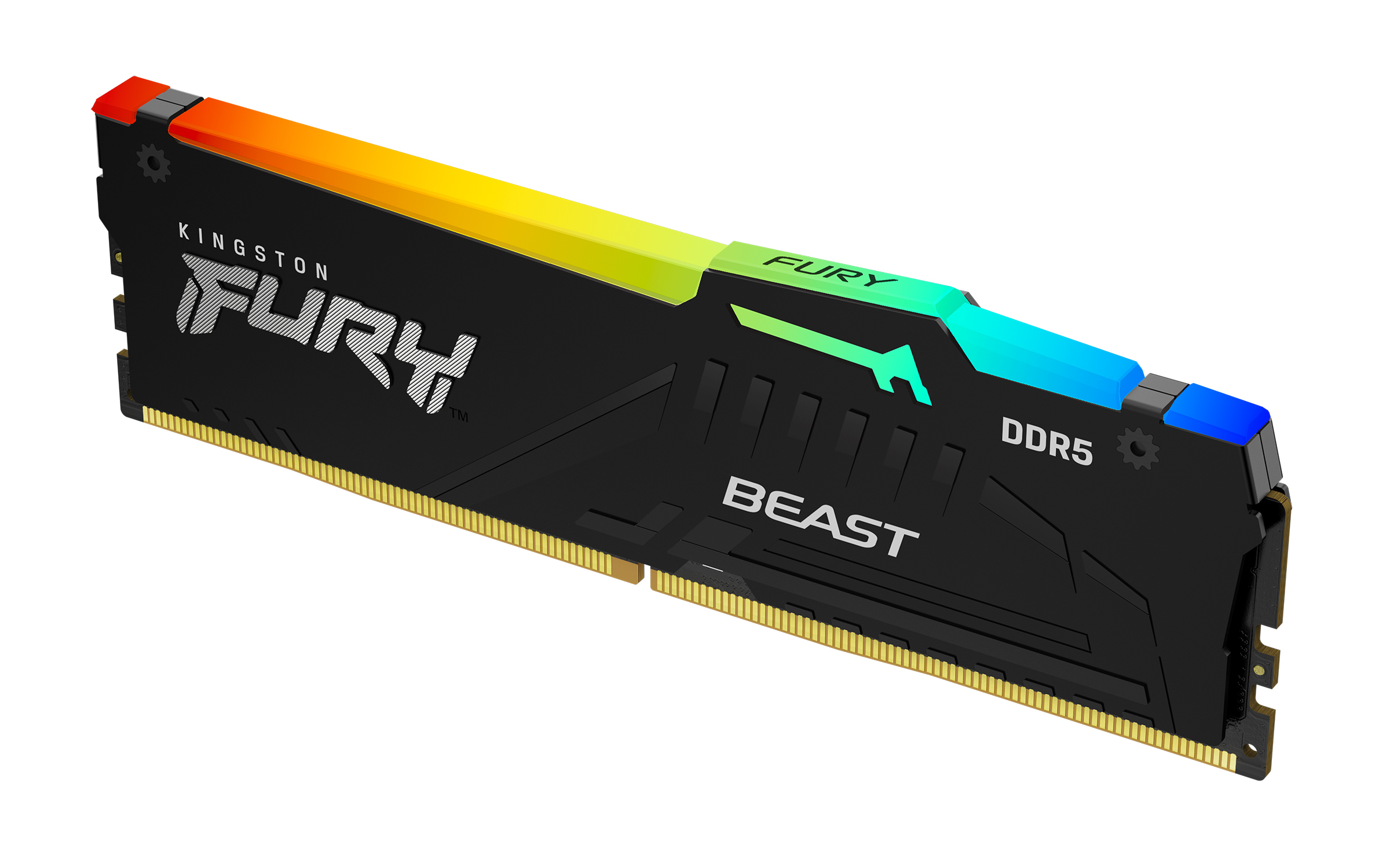 Kingston FURY Beast RGB - DDR5 - modulo - 32 GB - DIMM 288-PIN - 6000 MHz / PC5-48000 - CL30 - 1.4 V - senza buffer - on-die ECC - nero