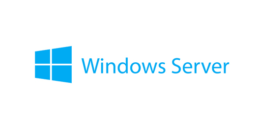 Microsoft Windows Server 2019 Standard - Licenza - 2 core aggiuntivi - OEM - Reseller POS only - per ThinkSystem SR250; SR530; SR590; SR630; SR645; SR650; SR665; ST250; ST50; ST550