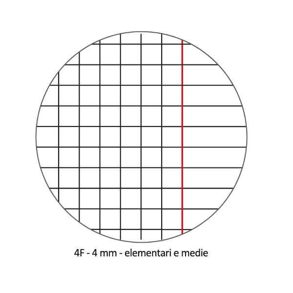 Quaderno Pigna A4 20 fogli copertina cartone plastificato assortiti