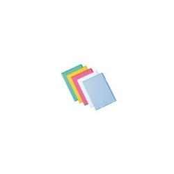 Esselte CF25BUSTE L DELUXE ANTIRIF 22X30, A4, Polipropilene (PP), Trasparente, 30 cm, 22 cm, 25 pz
