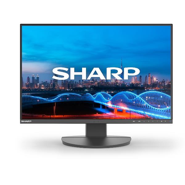 Monitor Desktop - EA241W
