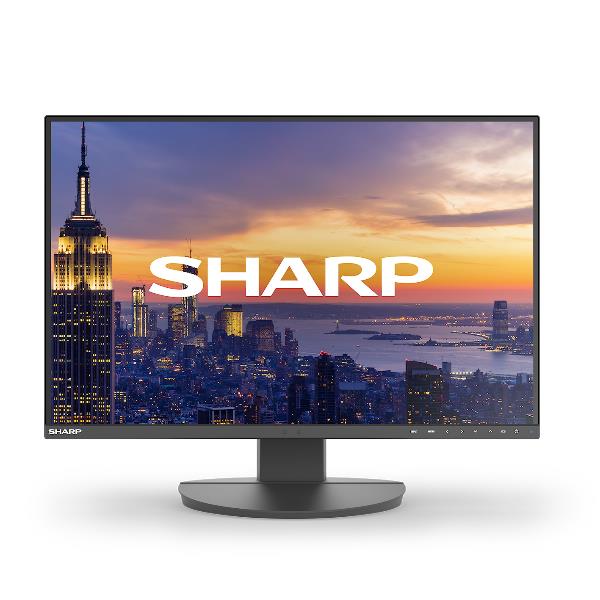 Monitor Desktop - EA242W