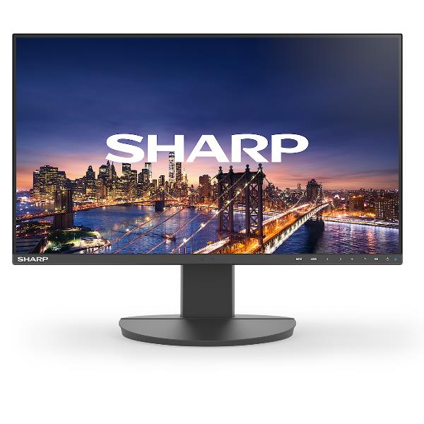 Monitor Desktop - EA241F